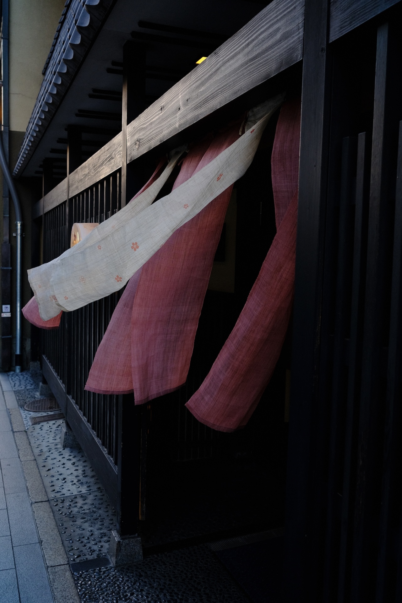 Kyoto — frame 18