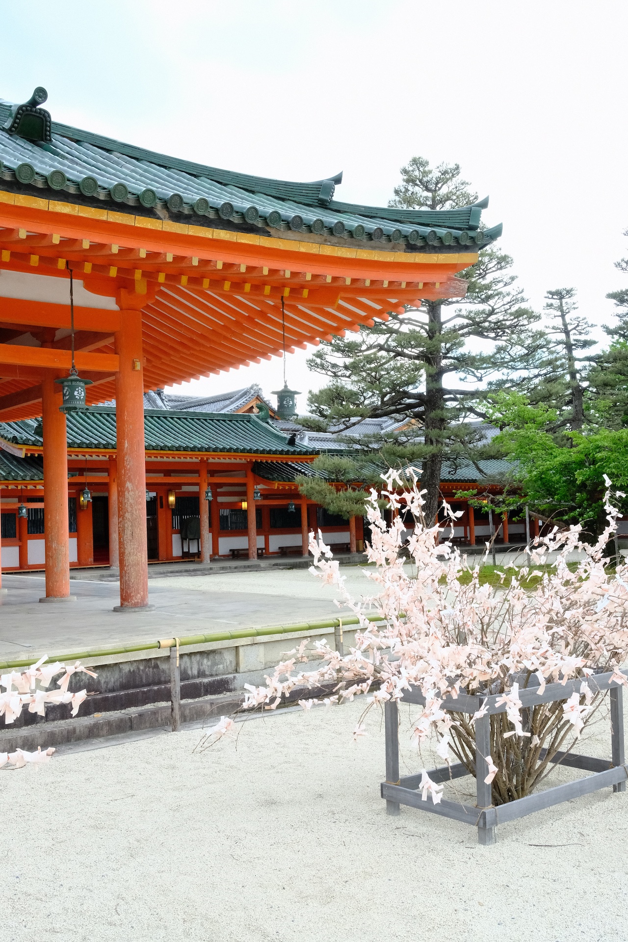 Kyoto — frame 03