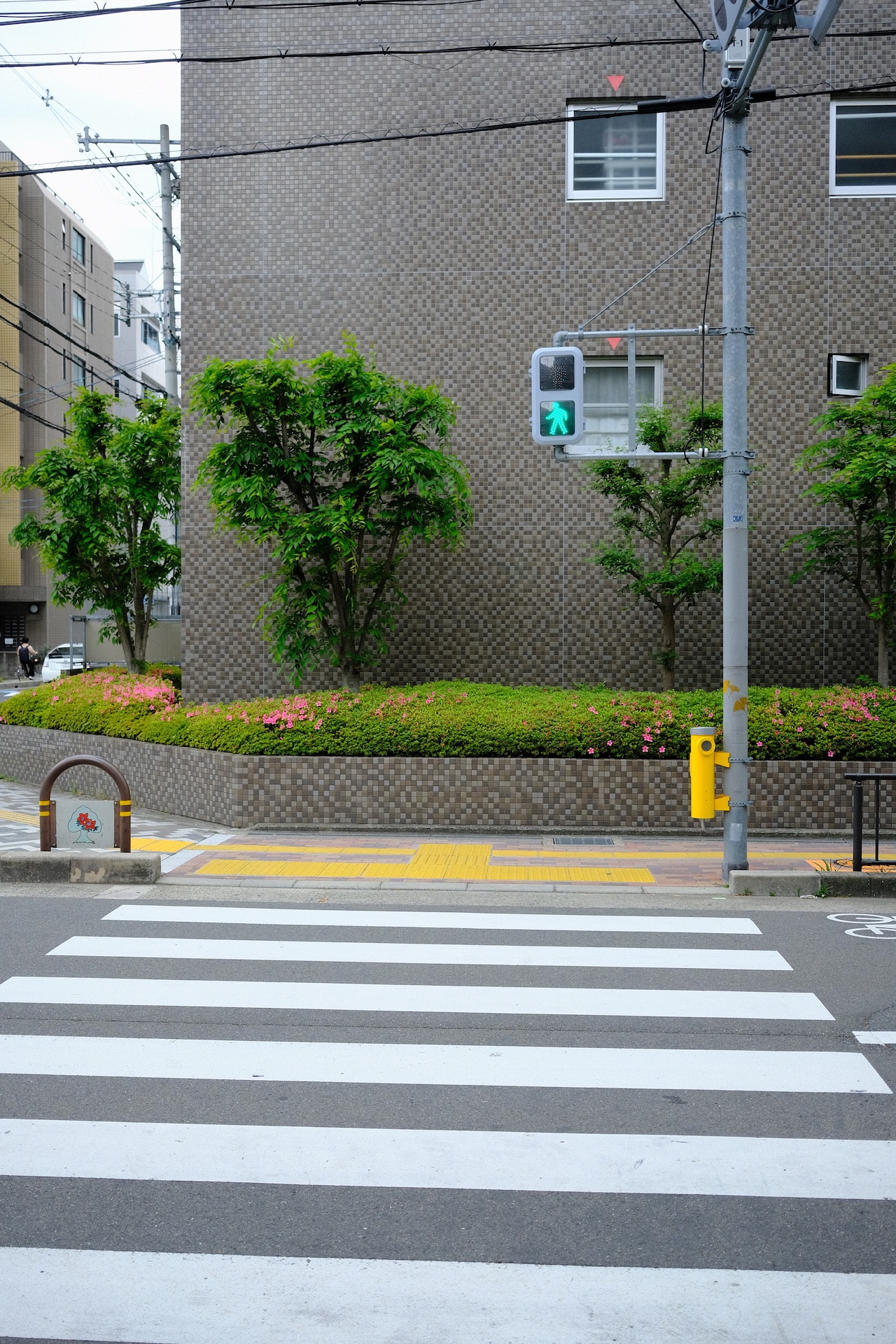 Osaka — frame 12