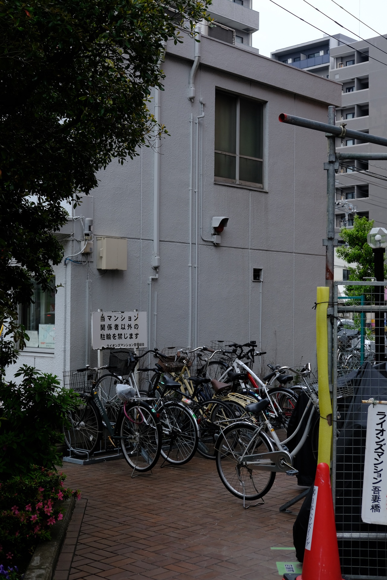 Tokyo — frame 13